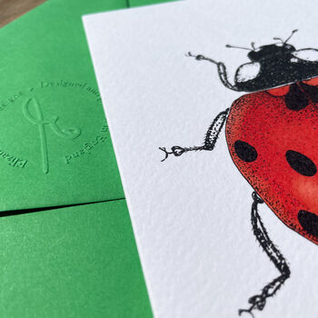 Hand Drawn Ladybird Illustrated Blank Greeting Card, 6 of 10