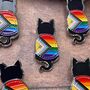 Ally Pride Lgbtqia+ Cat Enamel Pin, thumbnail 1 of 5
