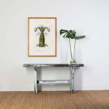 Giant Mantis Shrimp Print, Seafood Art Poster, 5 of 8