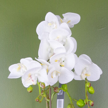 White Artificial Orchid Plant Gold Pot 54cm Real Touch, 2 of 4