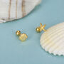 Sterling Silver Starfish And Shell 18 G Screw Back Stud Earrings, thumbnail 4 of 12