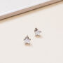 Silver Plated Crystal Star Shaped Stud Earrings, thumbnail 3 of 3