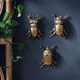 Gold Beetle Wall Ornaments, thumbnail 1 of 10