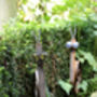 Fun Snail Garden Feature, Handmade In Norfolk, UK, thumbnail 4 of 12