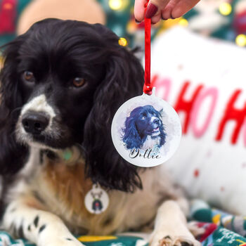 Personalised Pet Photo Christmas Bauble Decoration, 3 of 12