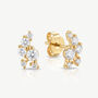 Gold Or Silver Cluster Stud Earrings, thumbnail 1 of 5