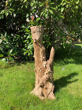 Handmade Teak Root Bumblebee Ornament – Large 65cm, 3 of 8