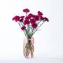 Hot Pink Carnations Fresh Flower Bouquet, thumbnail 1 of 3
