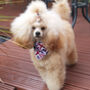 Union Jack Dog Bandana, thumbnail 4 of 5