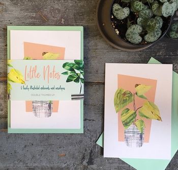House Plant Notelet Gift Set, 5 of 5