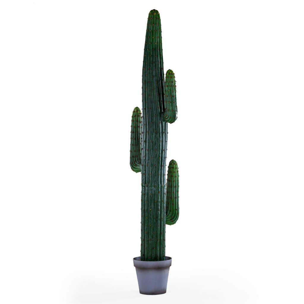 Faux Decorative Potted Desert Cactus By I Love Retro