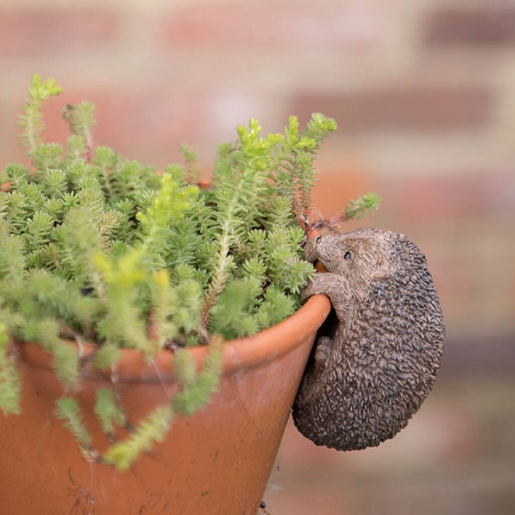 Bronze Effect Rabbit, Hedgehog, Mouse Plant Pot Hanger, 1 of 4