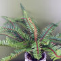 40cm Artificial Bushy Fern Potted In Decorative Planter, thumbnail 3 of 3