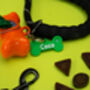 Personalised Dog Lead Name Tag, thumbnail 2 of 5