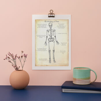 Personalised Skeleton Anatomy Print, 2 of 6