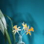 Stained Glass Yellow Narcissus Flower, thumbnail 8 of 8