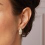 Sterling Silver Feather Crystal Earrings, thumbnail 1 of 5