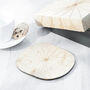 Lotus Leaf Coasters Set Of Six With Presentation Box, thumbnail 6 of 10