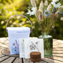 Grow Your Own Dried Flower Bouquet And Vase Gift Set, thumbnail 6 of 12