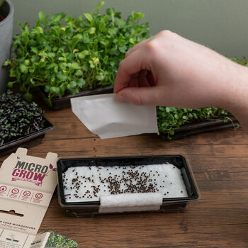 Healthy Greens Micro Grow Selection Box, 4 of 6
