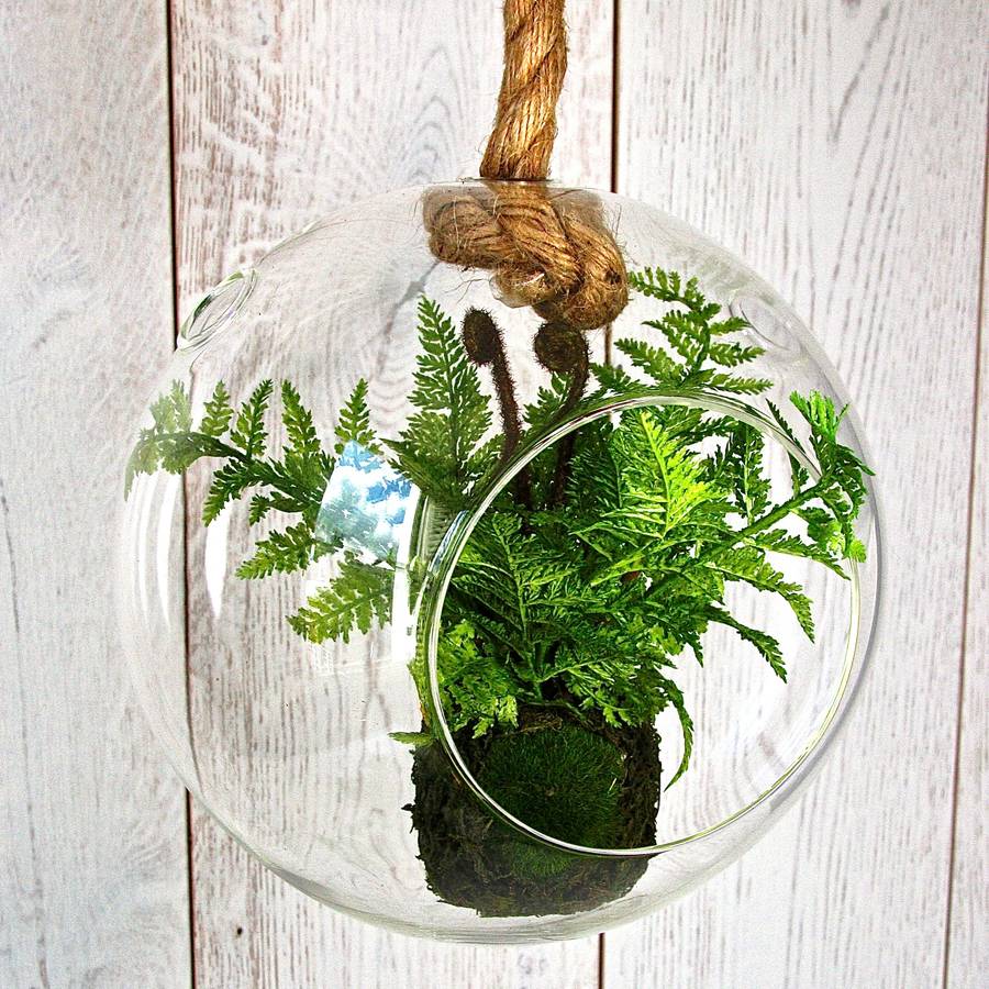 sphere terrarium with faux fern by london garden trading
