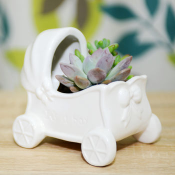 It's A Boy Ceramic Buggy Planter Baby Shower Gift, 4 of 6