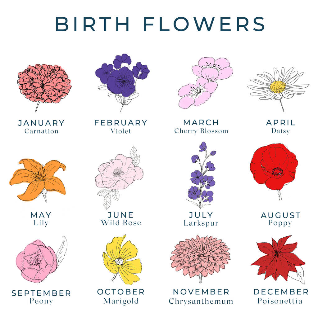 Personalised Birth Flower Mug By Posh Totty Designs Creates
