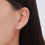 Sterling Silver Dainty Enamel Robin Bird Stud Earrings, thumbnail 2 of 11