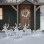 Arkendale Dual LED Battery Reindeer And Sleigh, thumbnail 1 of 3