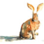 The Resting Hare Print, thumbnail 3 of 8