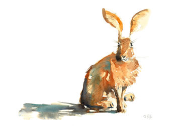 The Resting Hare Print, 3 of 8