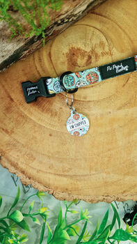 Iced Doughnuts And Coffee Dog Collar With Optional Set, 6 of 10