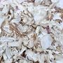 Ivory And Gold Wedding Confetti | Biodegradable Petals, thumbnail 2 of 3