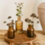 Amber Brown Glass Apothecary Bottle Vase 10cm, thumbnail 2 of 4