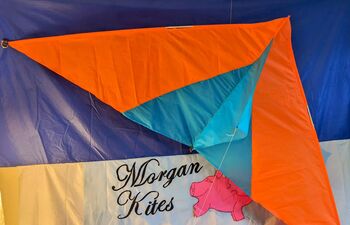 Giant Delta Kite, 4 of 11