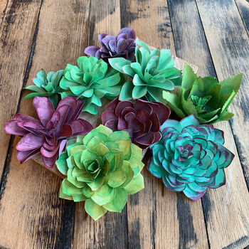 Paper Succulent Making Kit, 12 of 12