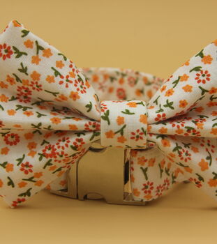 Orange Daisy Dog Bow Tie, 4 of 11