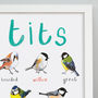 'Tits' Illustrated Bird Art Print, thumbnail 3 of 3