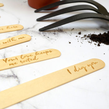 Love Puns Personalised Plant Marker Set, 5 of 7