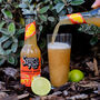 All Natural Classic Sodas Gift Pack, thumbnail 3 of 7
