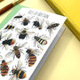 Bees Of Britain Art Blank Greeting Card, thumbnail 9 of 10