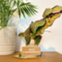 Build Your Own Personalised Tyrannosaurus Rex, thumbnail 10 of 12