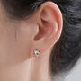 Sterling Silver Cute Cat Skull Stud Earrings, thumbnail 6 of 11