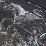 The Constellations, thumbnail 3 of 12
