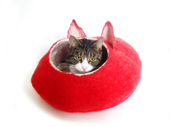 Cat Bed Cave Cocoon With Ears, 4 of 5