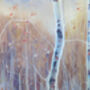 South Downs Winter Landscape, thumbnail 8 of 9