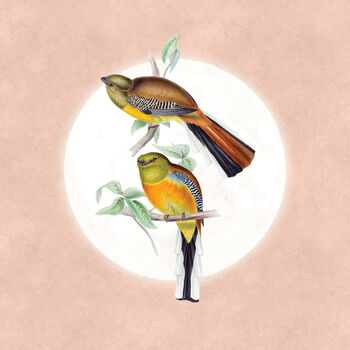 Mountain Trogon Moon Art Print – Vintage Japandi Style, 6 of 9