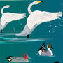 The Birds Of London Illustrated Poster, thumbnail 4 of 5