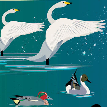 The Birds Of London Illustrated Poster, 4 of 5