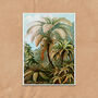 Botanical Ferns Vintage Style Art Print, thumbnail 3 of 4